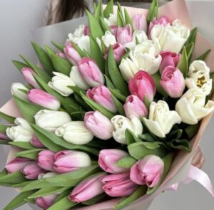 Pretty Tulips